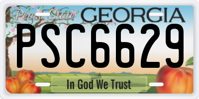 GA license plate PSC6629