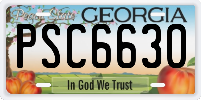 GA license plate PSC6630