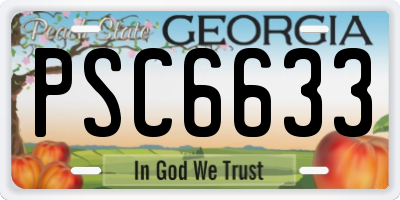 GA license plate PSC6633