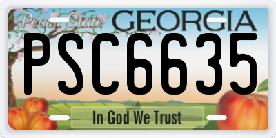 GA license plate PSC6635