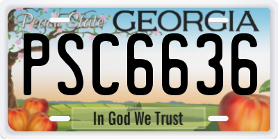 GA license plate PSC6636