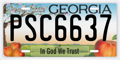 GA license plate PSC6637
