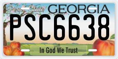 GA license plate PSC6638