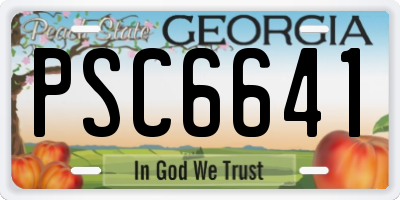 GA license plate PSC6641