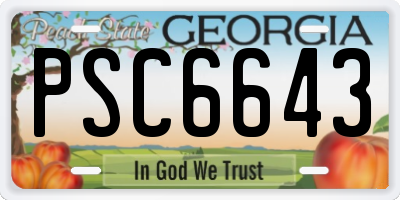 GA license plate PSC6643