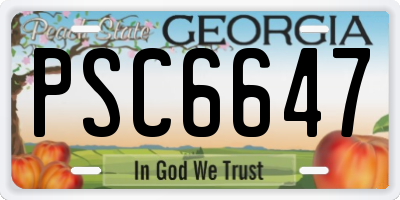 GA license plate PSC6647