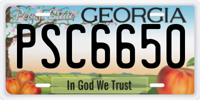 GA license plate PSC6650