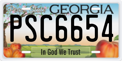 GA license plate PSC6654