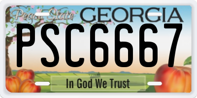 GA license plate PSC6667