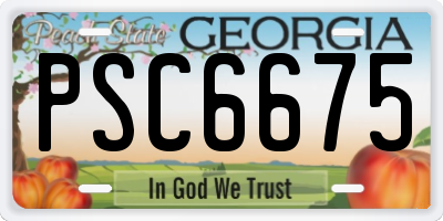 GA license plate PSC6675