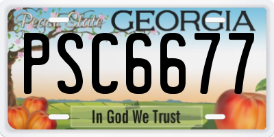 GA license plate PSC6677