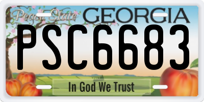 GA license plate PSC6683