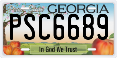 GA license plate PSC6689