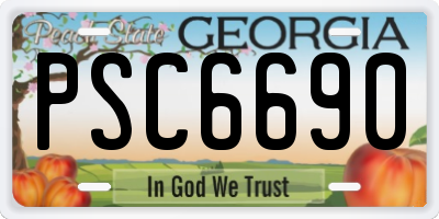 GA license plate PSC6690