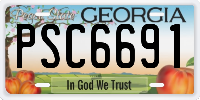 GA license plate PSC6691