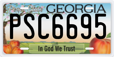 GA license plate PSC6695