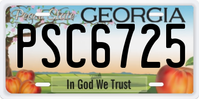 GA license plate PSC6725