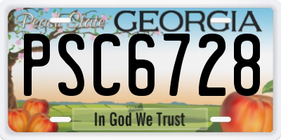 GA license plate PSC6728