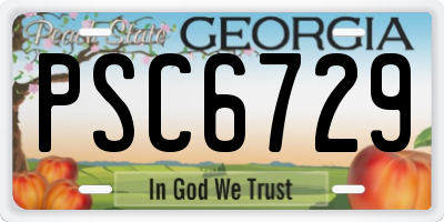 GA license plate PSC6729