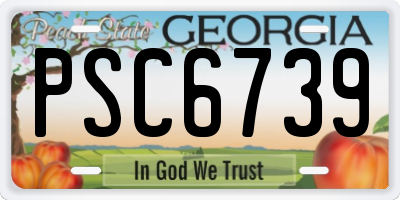 GA license plate PSC6739