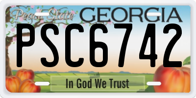 GA license plate PSC6742