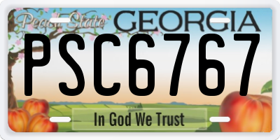 GA license plate PSC6767