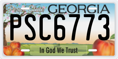 GA license plate PSC6773