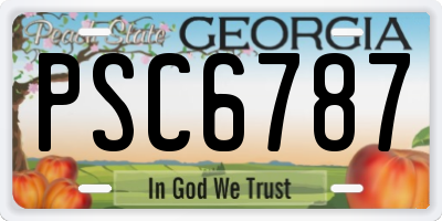 GA license plate PSC6787