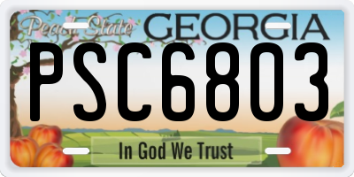 GA license plate PSC6803