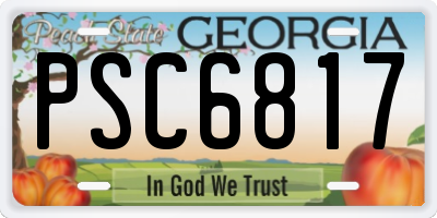GA license plate PSC6817