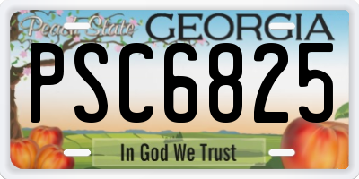 GA license plate PSC6825