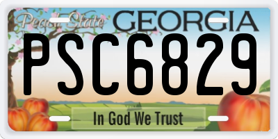 GA license plate PSC6829