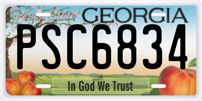 GA license plate PSC6834