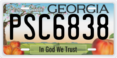GA license plate PSC6838