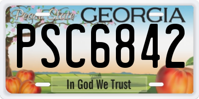 GA license plate PSC6842