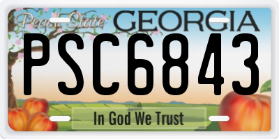 GA license plate PSC6843