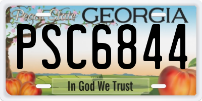 GA license plate PSC6844
