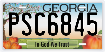 GA license plate PSC6845