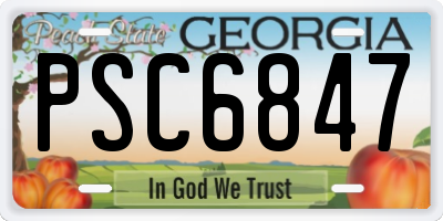 GA license plate PSC6847