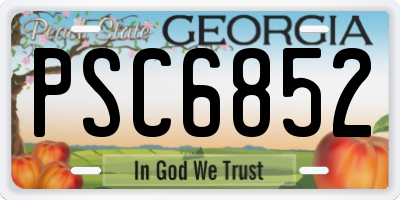 GA license plate PSC6852