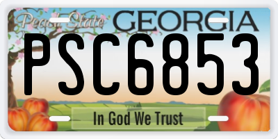 GA license plate PSC6853