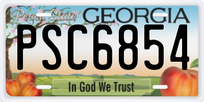 GA license plate PSC6854