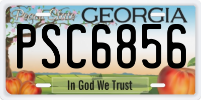 GA license plate PSC6856