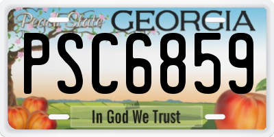 GA license plate PSC6859
