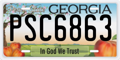 GA license plate PSC6863