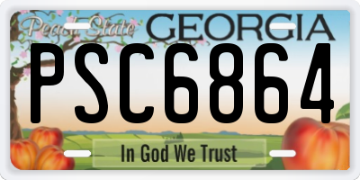 GA license plate PSC6864