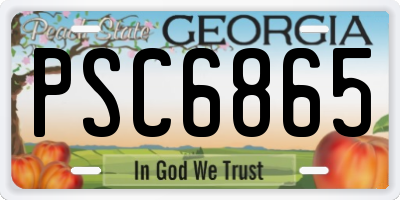 GA license plate PSC6865