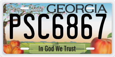 GA license plate PSC6867