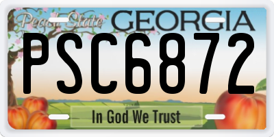 GA license plate PSC6872