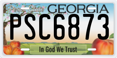 GA license plate PSC6873